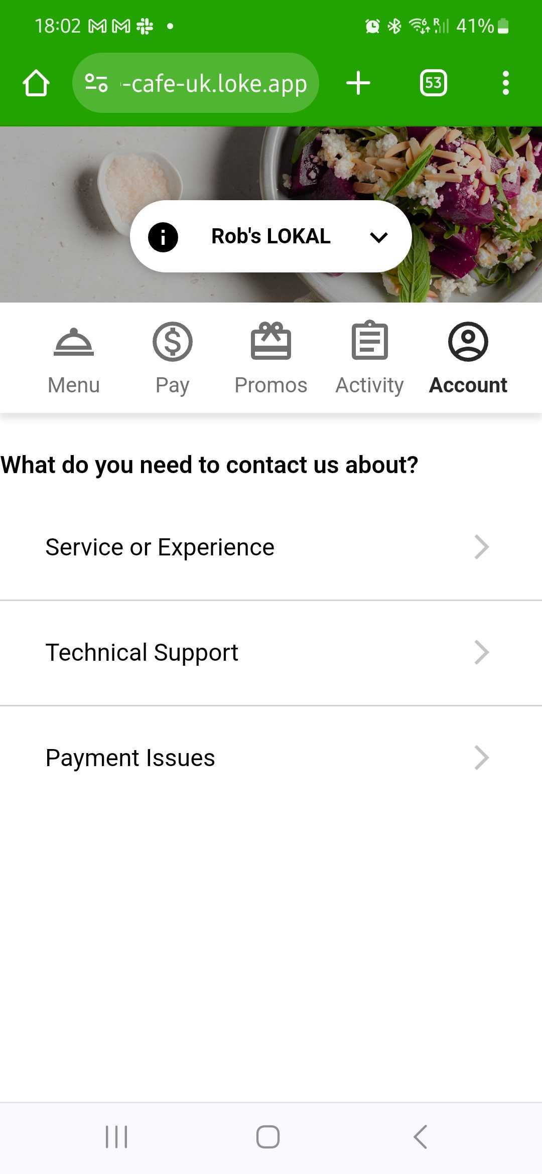 Web app.jpeg